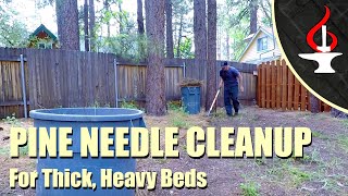 Easy Pine Needle Clean Up [upl. by Otiv]