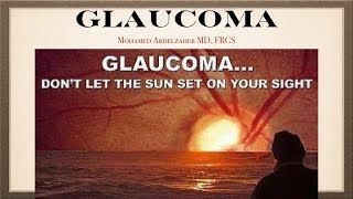 Glaucoma Anatomy [upl. by Leakim]