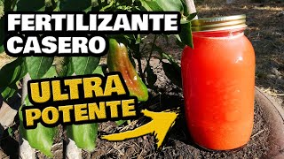 Fertilizante CASERO ¡ULTRA POTENTE Más Frutos y Más Flores  Abono Casero para Plantas y Cítricos [upl. by Oicnerual346]