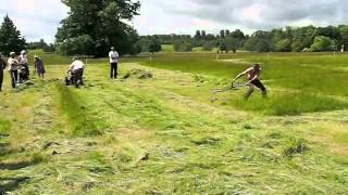 BCS mower vs scythe 2012 [upl. by Wardlaw]