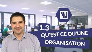 Chapitre 1  Quest ce quune organisation 33  Management Bac STMG  digiSchool [upl. by Krilov55]