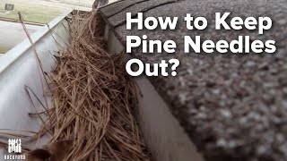 How to Keep Pine Needles Out of Gutters FINALLY [upl. by Jennette242]