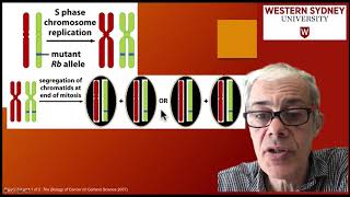 34 Loss of heterozygosity LOH [upl. by Eahs]