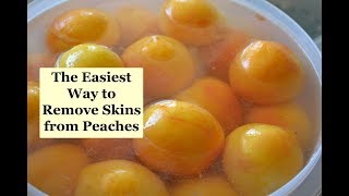 The Easiest Way to Remove the Skins from Peaches [upl. by Luing624]