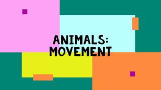 Animals Movements [upl. by Nywled400]