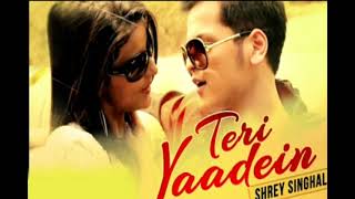 Teri Yaadein  Sherry Singhal  Sad Song 2021 [upl. by Elehcir]