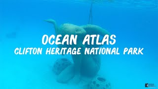 Ocean Atlas  Clifton Heritage National Park Bahamas [upl. by Kciredorb496]