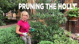 How to Prune Holly [upl. by Roer57]