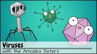 Virology Virus Structure and Classification [upl. by Meedan830]