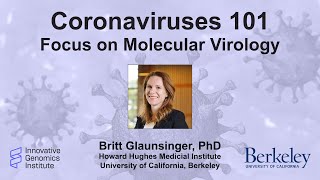 Coronaviruses 101 Focus on Molecular Virology [upl. by Anaibib]