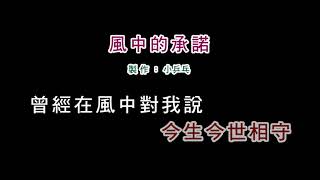 伴奏版李翊君風中的承諾DIY卡拉OK字幕 [upl. by Bonnie]