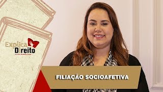 Explica Direito Filiação Socioafetiva  2019 [upl. by Tobi]