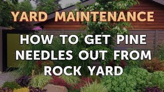 How to Get Pine Needles Out From Rock Yard [upl. by Llenrup51]