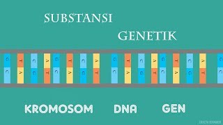 SUBSTANSI GENETIK  DNA [upl. by Dlorad802]