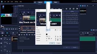 How to Add Subtitles in VideoStudio [upl. by Llertak142]