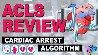 Cardiac Arrest  ACLS Review [upl. by Trik146]