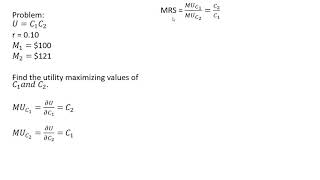 Intertemporal Choice Utility Maximization Over Two Time Periods [upl. by Eiramoj678]