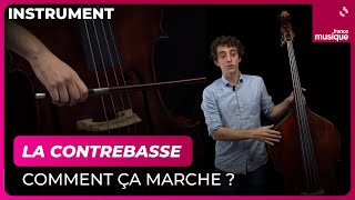 La contrebasse comment ça marche  Lucas Henri  Culture Prime [upl. by Narej]