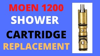 MOEN 1200 SHOWER CARTRIDGE REPLACEMENT [upl. by Spielman856]