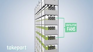 Vertical Farms  Design and Innovation  TakePart [upl. by Aneertak]