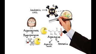 Pharmacology  CANCER DRUGS  HORMONAL THERAPY MADE EASY [upl. by Krigsman]