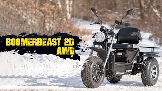 Boomerbeast 2D AWD  Daymak’s Latest Mobility Scooter With All Wheel Drive [upl. by Etnuad560]