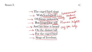 I Know Why The Caged Bird Sings Explained [upl. by Soutor]