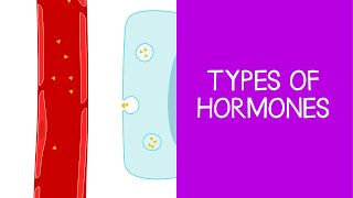 52 Types of Hormones [upl. by Assital]