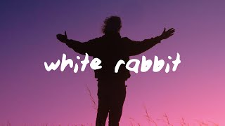 Jefferson Airplane  White Rabbit Lyrics [upl. by Aicnelav565]