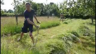 Cutting orchard grass by scythe [upl. by Analra877]