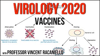 Virology Lectures 2020 19 Vaccines [upl. by Faunie220]