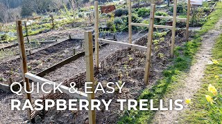 Quick amp Easy DIY Raspberry Trellis [upl. by Hilda295]