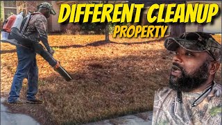 Easiest Pine needle cleanup by my self [upl. by Sparkie]