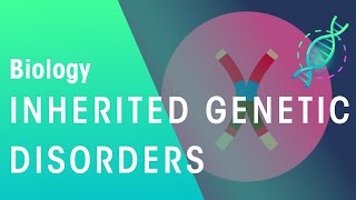 Inherited Genetic Disorders  Genetics  Biology  FuseSchool [upl. by Llerdnek536]