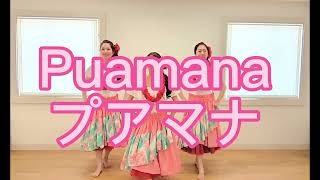 プアマナ フラ hula puamana フラダンス [upl. by Akla]