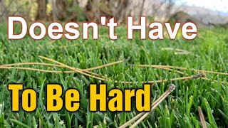 The Best Ways To Pick Pine Needles Up Off The Lawn [upl. by Eisserc517]