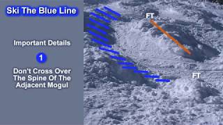 How To Ski Moguls  Blue Line Mogul Skiing Technique Video Intro [upl. by Clea]