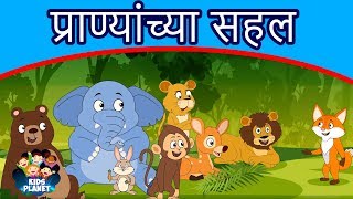 प्राण्यांच्या सहल  Marathi Goshti गोष्टी  Chan Chan Goshti  Marathi Story  Ajibaicha Goshti [upl. by Nyledam]