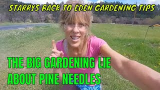 THE BIG GARDENING MYTHPINE NEEDLES [upl. by Asiret]