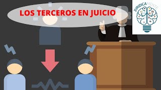 LOS TERCEROS EN JUICIO [upl. by Nifled]