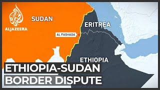 Tigray conflict highlights border dispute between Ethiopia Sudan [upl. by Negiam]