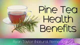 Pine Needle Tea Benefits and Recipe [upl. by Judas]