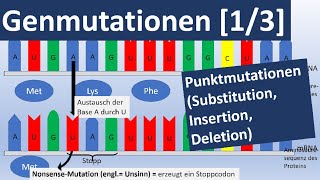 Genmutationen 13 Punktmutationen Insertion Substitution Deletion  Genetik Oberstufe [upl. by Peery]