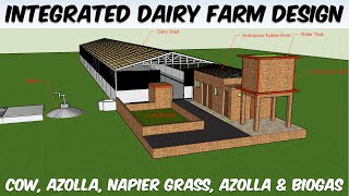 Integrated Dairy Farming Model Design  Cow Azolla Napier Hydroponic Fodder Farm amp Biogas Design [upl. by Atteynod]