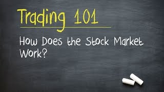 Trading 101 How Does the Stock Market Work [upl. by Reyam]