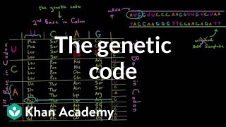 The genetic code [upl. by Alemahs]