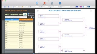 Tournament Bracket Generator App [upl. by Annert]