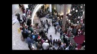 Flash Mob Christmas Carol at Mall  MUST SEE [upl. by Nomled]