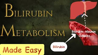 Bilirubin metabolism MADE SIMPLE [upl. by Yesak]