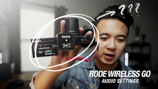 Rode Wireless GO  Audio Settings for the Sony Cameras [upl. by Browning]